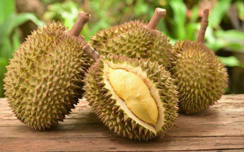 Le Vietnam pourrait exporter cette année des durians vers la Chine